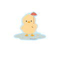 Raining Duck