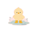 Splashing Duck